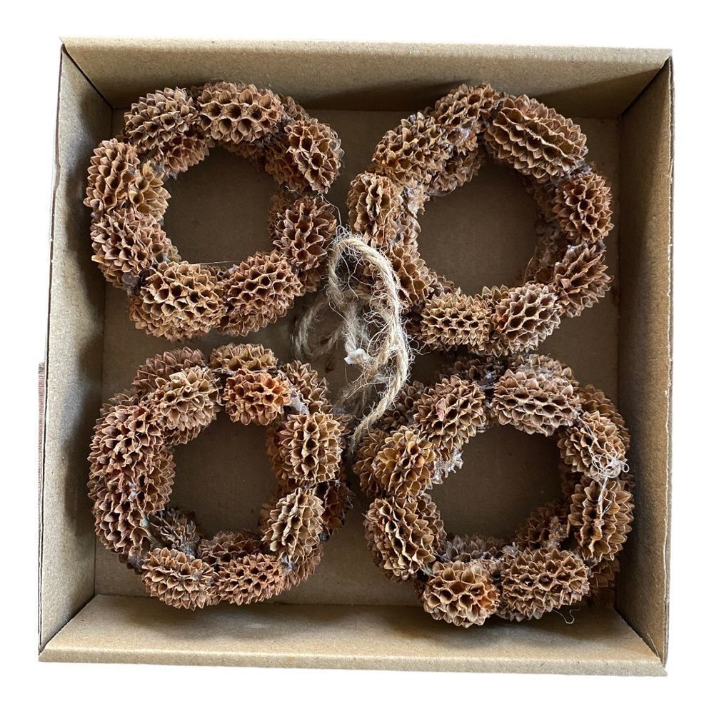 NWOT Dried Casuarina Rings in Kraft Box 4 in box